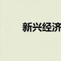 新兴经济体（关于新兴经济体简介）