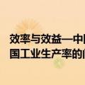 效率与效益—中国工业生产率的问题（关于效率与效益—中国工业生产率的问题简介）