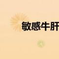 敏感牛肝菌（关于敏感牛肝菌简介）
