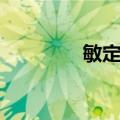 敏定偶（关于敏定偶简介）