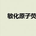 敏化原子荧光（关于敏化原子荧光简介）