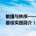 敏捷与秩序——RUP最佳实践（关于敏捷与秩序——RUP最佳实践简介）