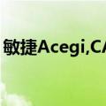 敏捷Acegi,CAS（关于敏捷Acegi,CAS简介）