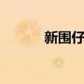 新围仔村（关于新围仔村简介）