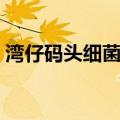 湾仔码头细菌门（关于湾仔码头细菌门介绍）