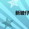 新坡仔村（关于新坡仔村简介）