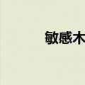 敏感木蓝（关于敏感木蓝简介）