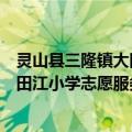 灵山县三隆镇大田江小学志愿服务队（关于灵山县三隆镇大田江小学志愿服务队介绍）