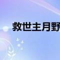 救世主月野兔（关于救世主月野兔简介）