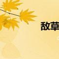 敌草快（关于敌草快简介）