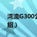 湾流G300公务机（关于湾流G300公务机介绍）