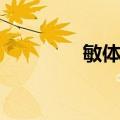 敏体尼（关于敏体尼简介）