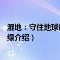 湿地：守住地球最后一片绿（关于湿地：守住地球最后一片绿介绍）