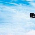 敏黠（关于敏黠简介）