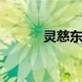灵慈东宫（关于灵慈东宫介绍）