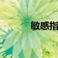 敏感指令（关于敏感指令简介）