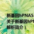 新基因hPNAS-4的相互作用蛋白及其介导的信号通路解析（关于新基因hPNAS-4的相互作用蛋白及其介导的信号通路解析简介）