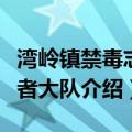 湾岭镇禁毒志愿者大队（关于湾岭镇禁毒志愿者大队介绍）