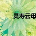 灵寿云母粉（关于灵寿云母粉介绍）