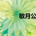 敏月公园（关于敏月公园简介）