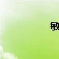 敏周（关于敏周简介）