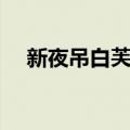 新夜吊白芙蓉（关于新夜吊白芙蓉简介）