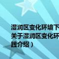 湿润区变化环境下的水资源优化配置--理论方法与东江流域应用实践（关于湿润区变化环境下的水资源优化配置--理论方法与东江流域应用实践介绍）