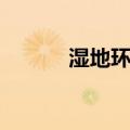 湿地环境（关于湿地环境介绍）