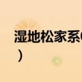 湿地松家系0-47（关于湿地松家系0-47介绍）