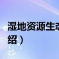 湿地资源生态系统（关于湿地资源生态系统介绍）