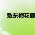 敖东梅花鹿-6（关于敖东梅花鹿-6简介）