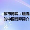 救市博弈：暗流涌动的中国博弈（关于救市博弈：暗流涌动的中国博弈简介）