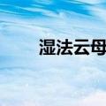 湿法云母粉（关于湿法云母粉介绍）