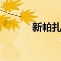 新帕扎尔（关于新帕扎尔简介）