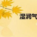 湿润气候（关于湿润气候介绍）