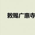 敕赐广惠寺碑（关于敕赐广惠寺碑简介）
