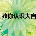 教你认识大自然（关于教你认识大自然简介）