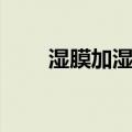 湿膜加湿器（关于湿膜加湿器介绍）
