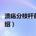 溃疡分枝杆菌感染（关于溃疡分枝杆菌感染介绍）