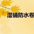 湿铺防水卷材（关于湿铺防水卷材介绍）