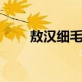 敖汉细毛羊（关于敖汉细毛羊简介）