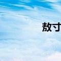 敖寸心（关于敖寸心简介）