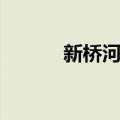 新桥河镇（关于新桥河镇简介）