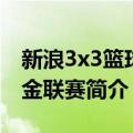 新浪3x3篮球黄金联赛（关于新浪3x3篮球黄金联赛简介）