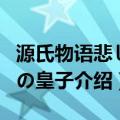 源氏物语悲しみの皇子（关于源氏物语悲しみの皇子介绍）