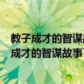 教子成才的智谋故事――(0-15)岁孩子的成长策略（关于教子成才的智谋故事――(0-15)岁孩子的成长策略简介）