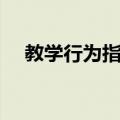 教学行为指导（关于教学行为指导简介）