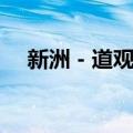 新洲－道观河（关于新洲－道观河简介）