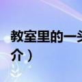 教室里的一头牦牛（关于教室里的一头牦牛简介）