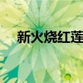 新火烧红莲寺（关于新火烧红莲寺简介）